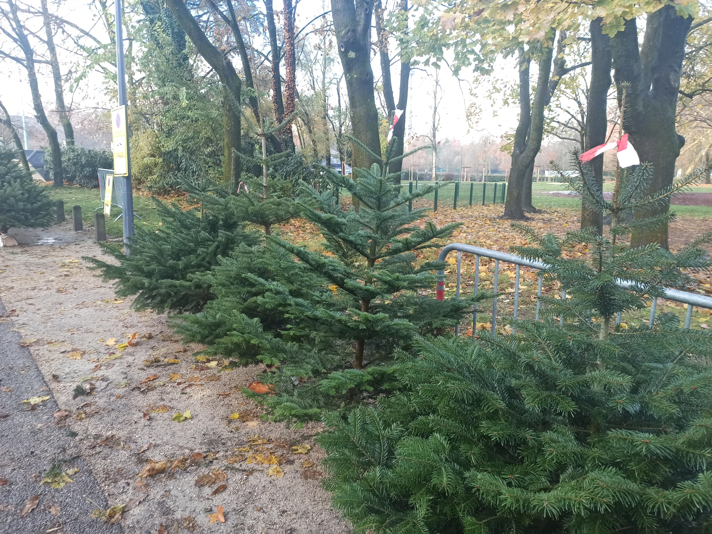 1638798388662.jpg (3.52 MB)