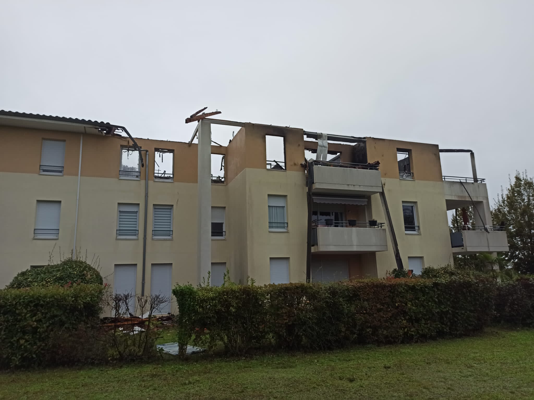 IMG-20211004-WA0005.jpg (164 KB)