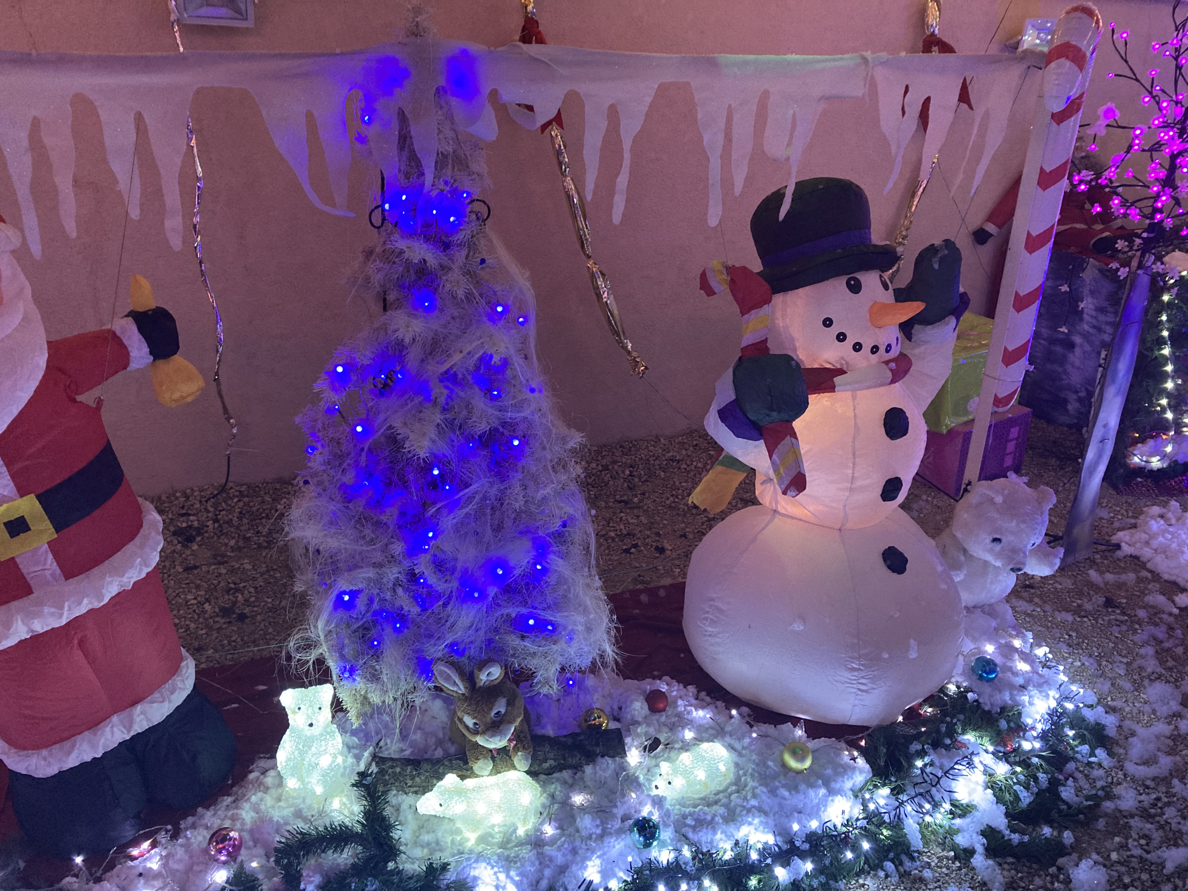 IMG_0248.jpg (3.09 MB)