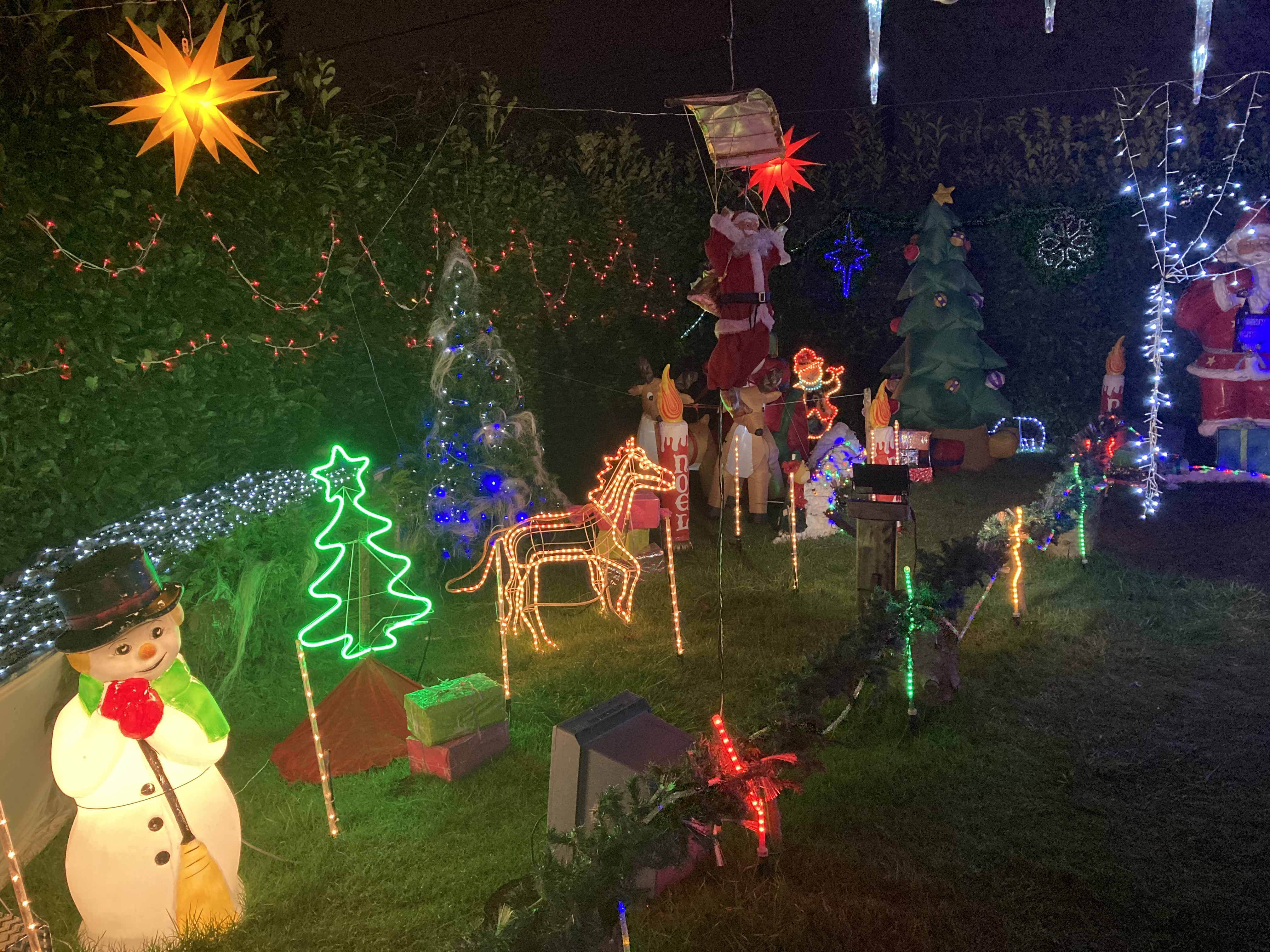 IMG_0253.jpg (3.85 MB)