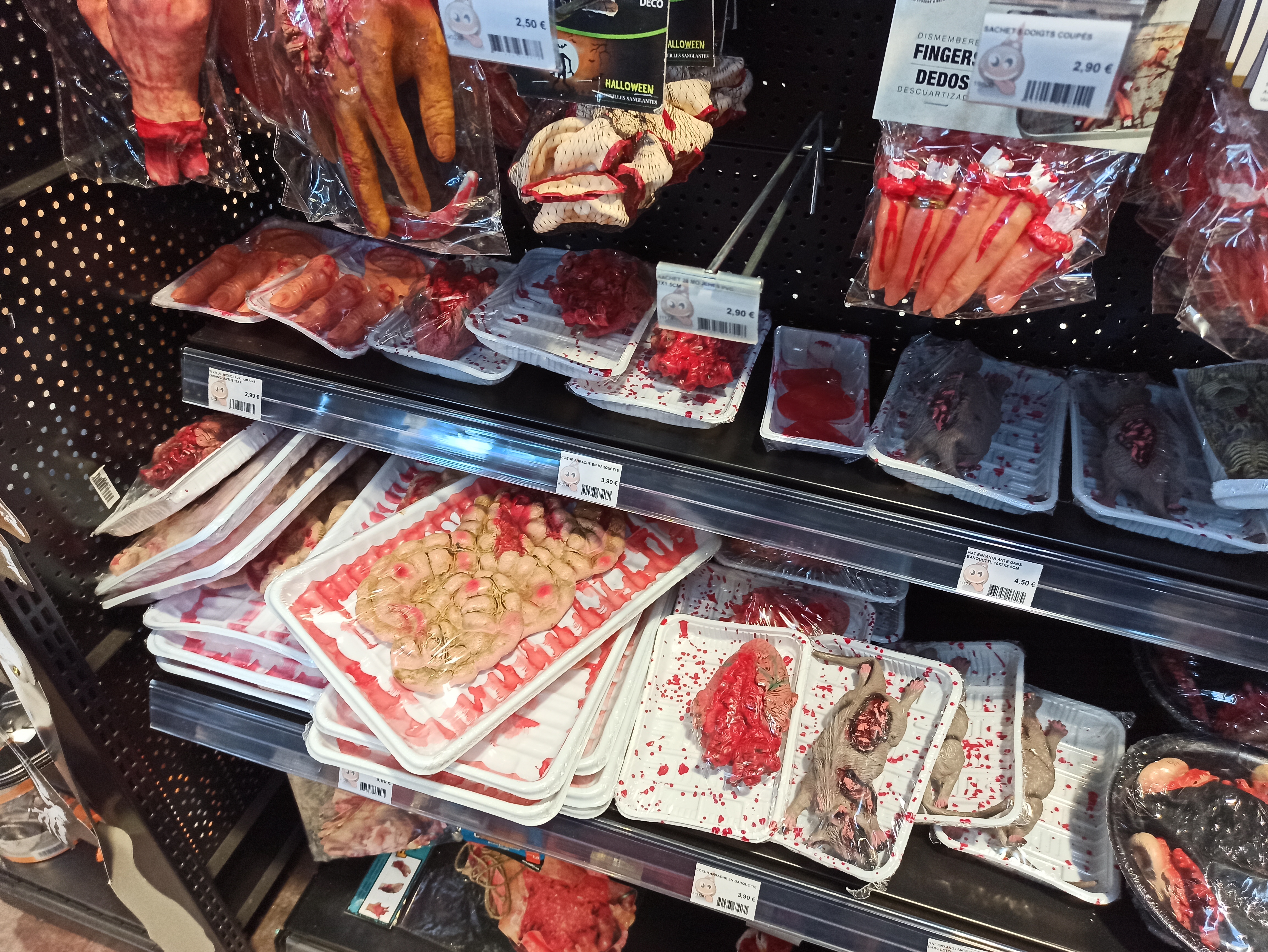 IMG_20211022_091555.jpg (6.10 MB)