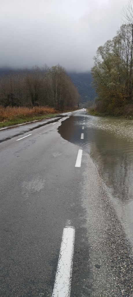 PHOTO-2023-12-02-11-21-52.jpg (82 KB)