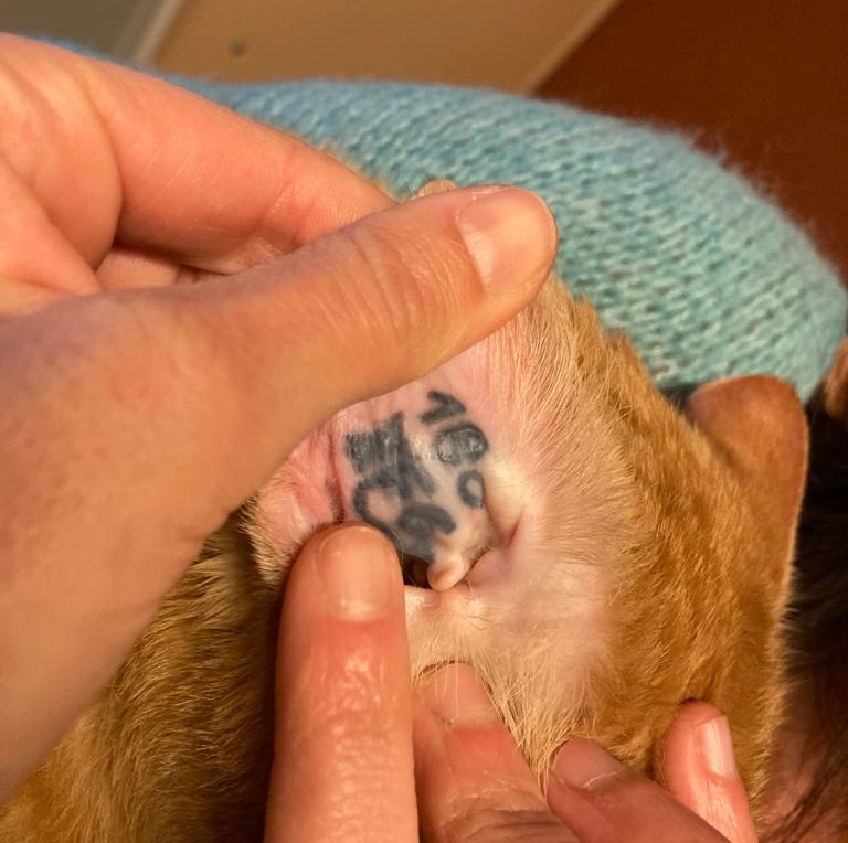 WhatsApp Image 2023-02-20 &agrave; 09.36.29.jpg (151 KB)