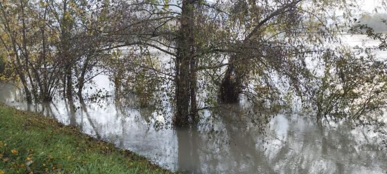 WhatsApp Image 2023-11-15 &agrave; 08.21.21_75926da1.jpg (79 KB)