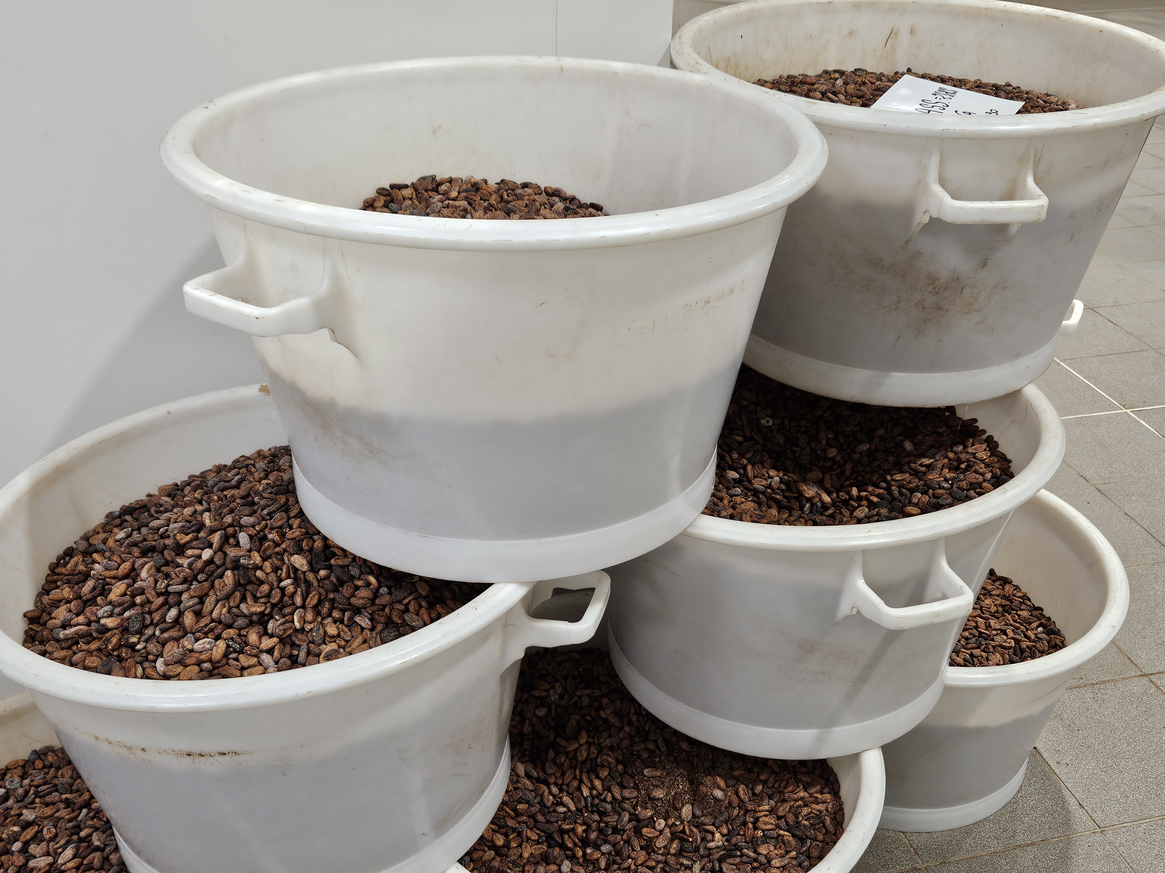 20231211_154208.jpg (5.73 MB)