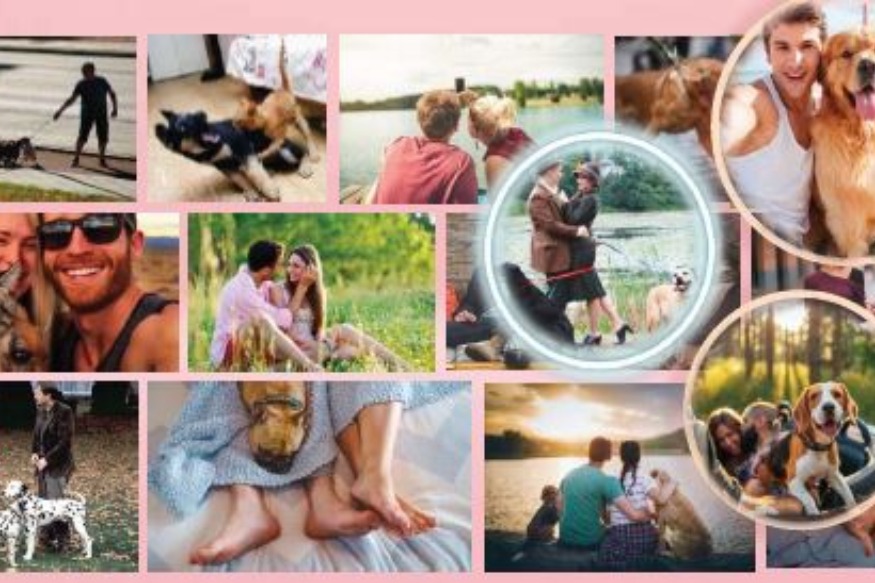 Un casting pour une émission de dating autour de propriétaires de chiens !