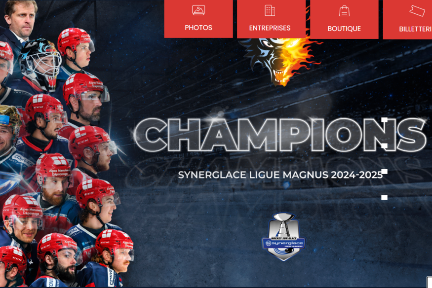 Les Brûleurs de Loups en feu : Grenoble sacré champion de France après un match d’anthologie