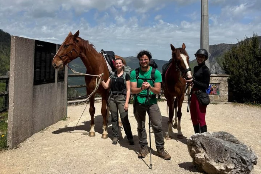 Alerte à Villard-de-Lans : deux chevaux en fuite, appel à la mobilisation générale