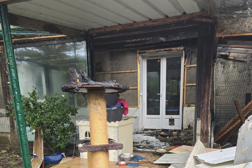 Après des intempéries, une cagnotte ouverte en ligne pour venir en aide au refuge pour chats de Vif