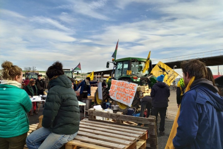 Les agriculteurs vont se mobiliser dans le Nord-Isère contre les mesures d'abattage face à la dermatose nodulaire